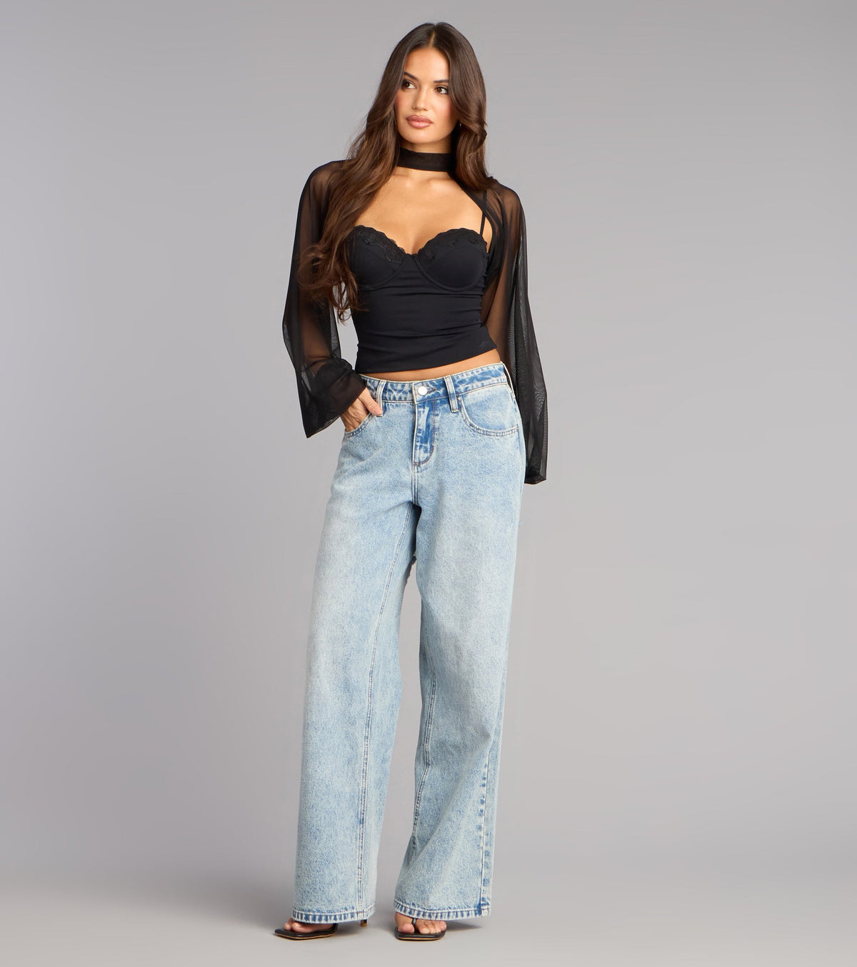 Sheer Drama Mesh Long Sleeve Topper